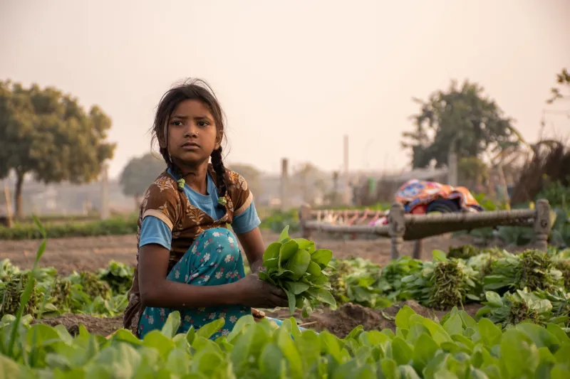 Growing Where You Shouldn't: How Climate Chaos Is Quietly Rewriting the American Produce Map
