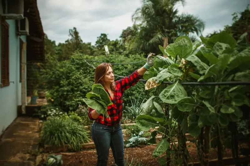 Grow What Beat You: A Redemption Garden for the Vegetables You Gave Up On