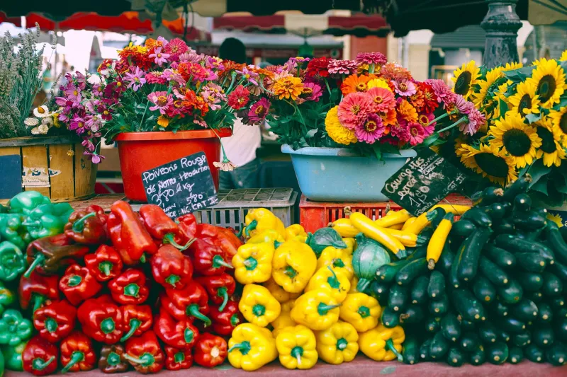 The Honest Seasonal Eating Guide Nobody Wanted to Write (But Somebody Had To)