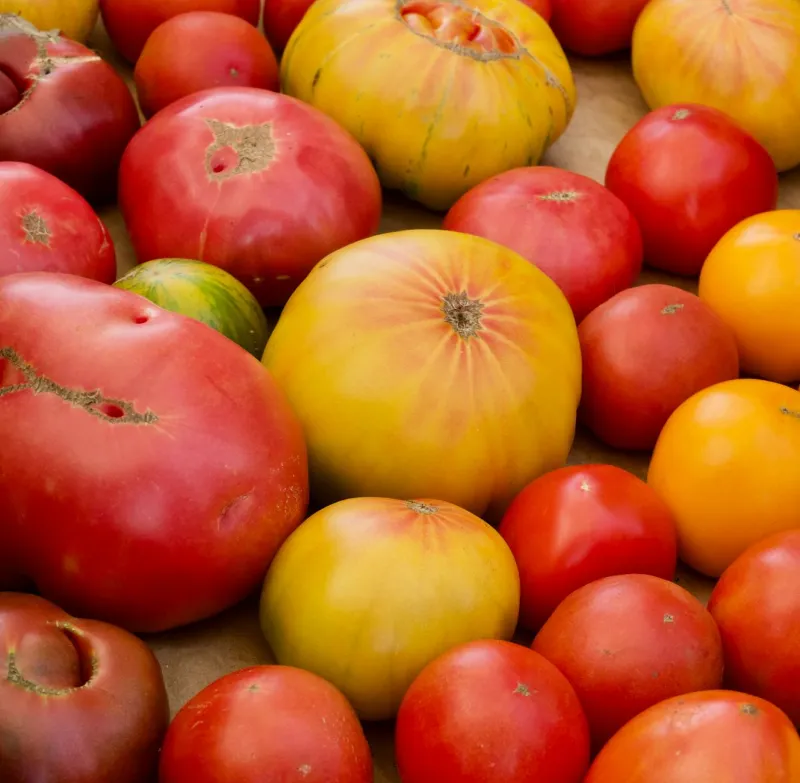 The Moment a Vegetable Broke Your Brain (And Why You've Never Cooked the Same Way Since)