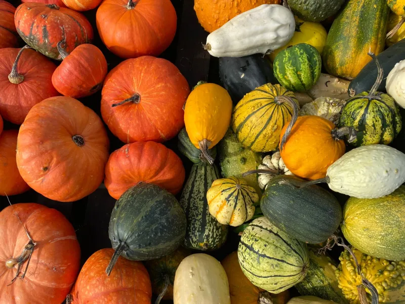What Kind of Vegetable Cook Are You, Really? A Personality Guide to Produce (Plus the Veggies That'll Change Your Life)